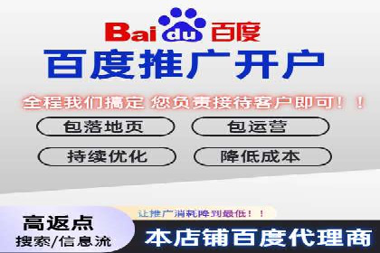 网络推广策略：竞价广告的实践案例